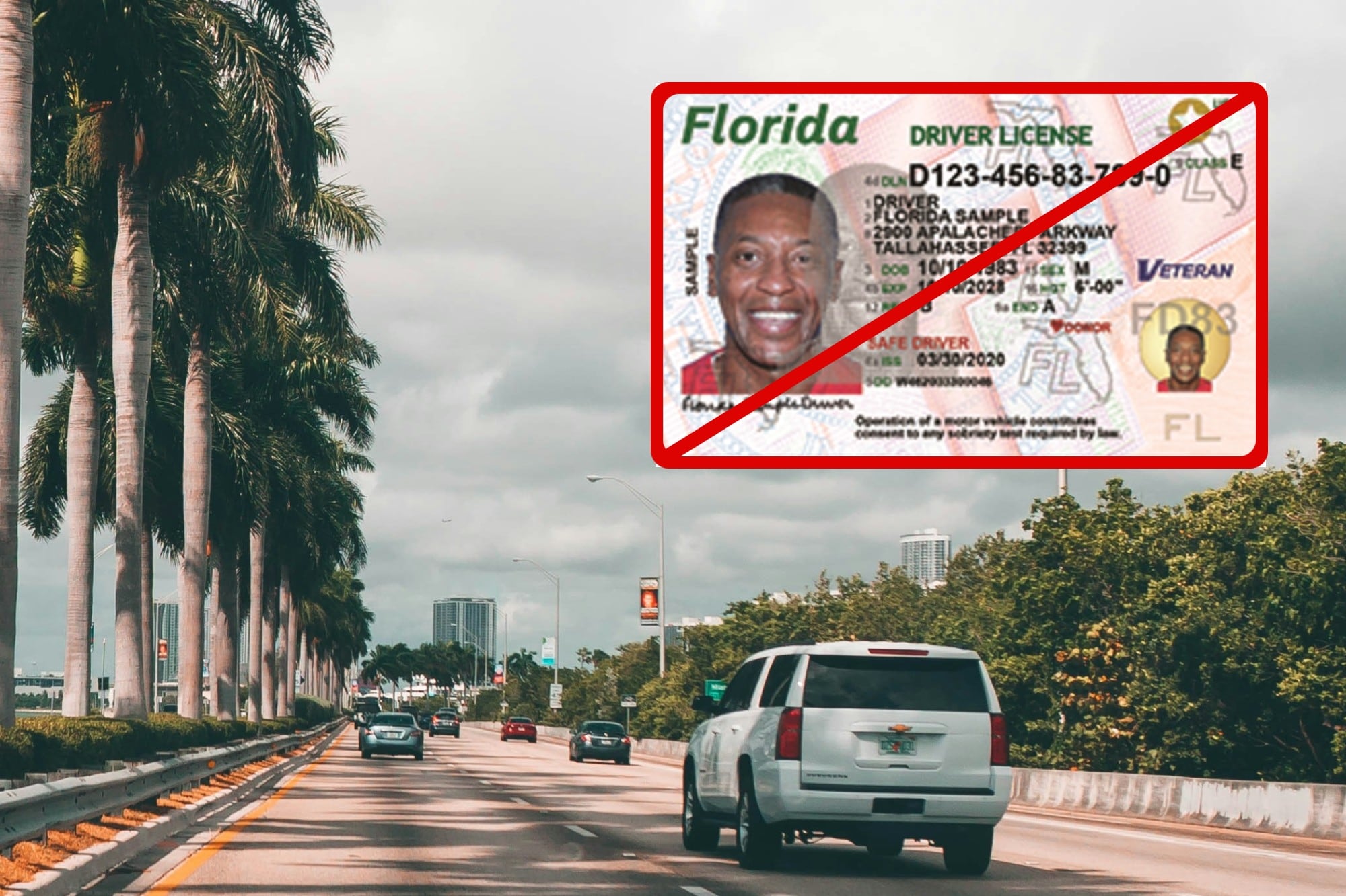 No solo de California: las licencias de conducir que pierden validez automáticamente al pisar Florida