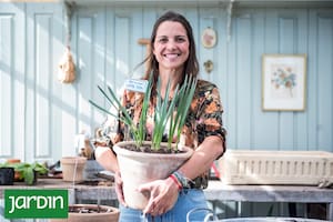 Plantá bulbos ahora y disfrutá de sus flores en el invierno