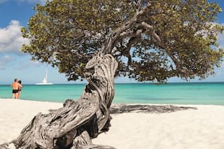 Aruba, una feliz combinación