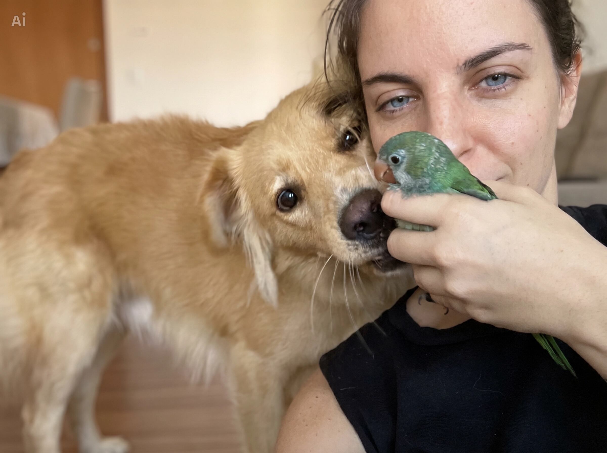 Descartado por su madre y salvado por un perro, un pichón de cotorra desafió un brutal diagnóstico: “Muerto va a estar mejor”