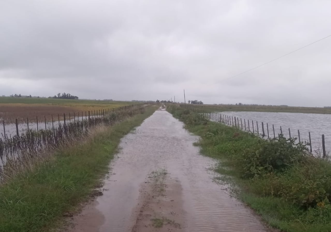 Caminos rurales anegados en 9 de Julio tras las últimas lluvias, que dejaron sectores intransitables y frenaron la salida de la producción