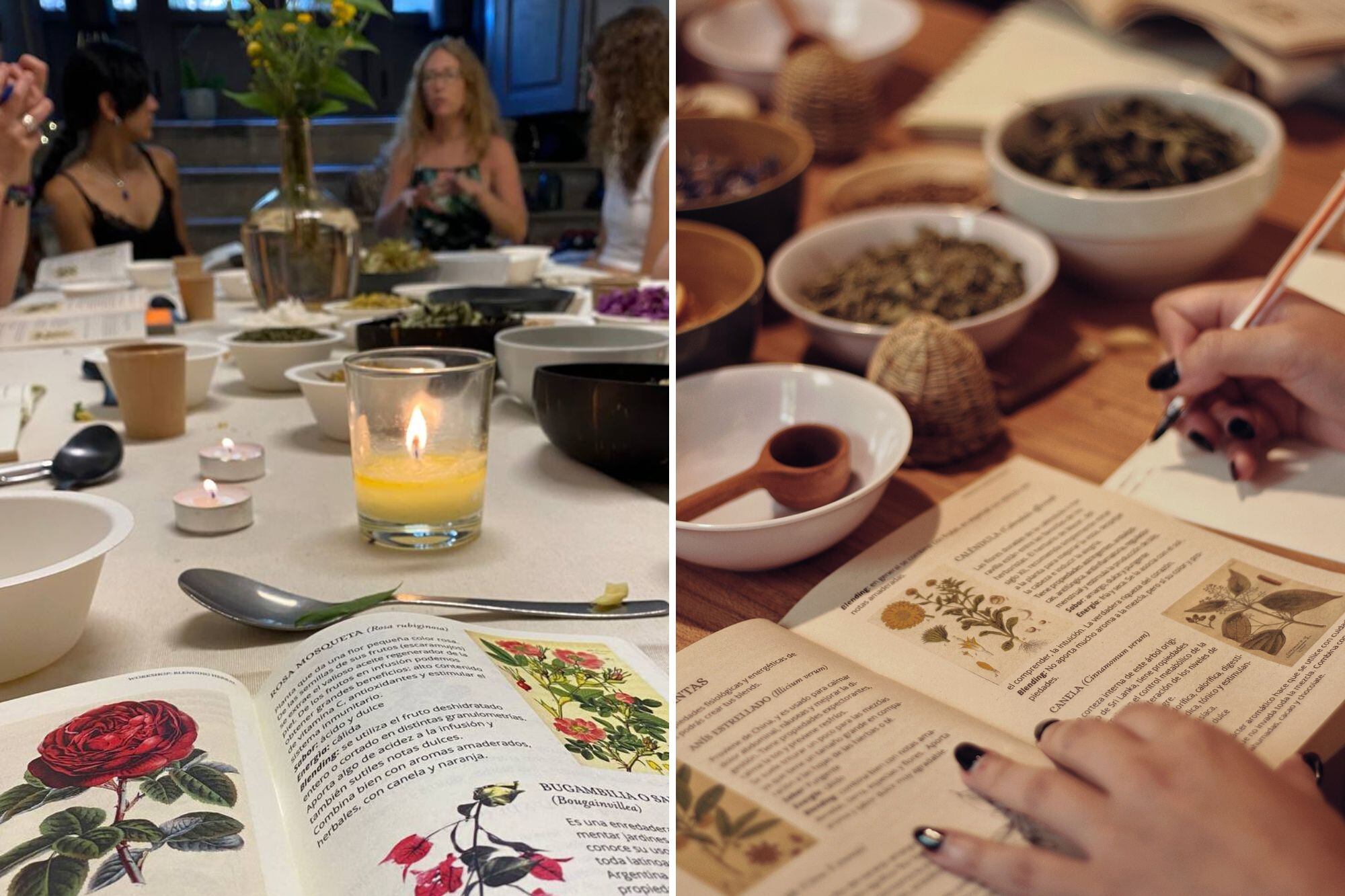 Hacer un blend implica saber: sobre uno mismo y lo que busca, sobre las plantas y sus características. También, aprender del registro de la experiencia.