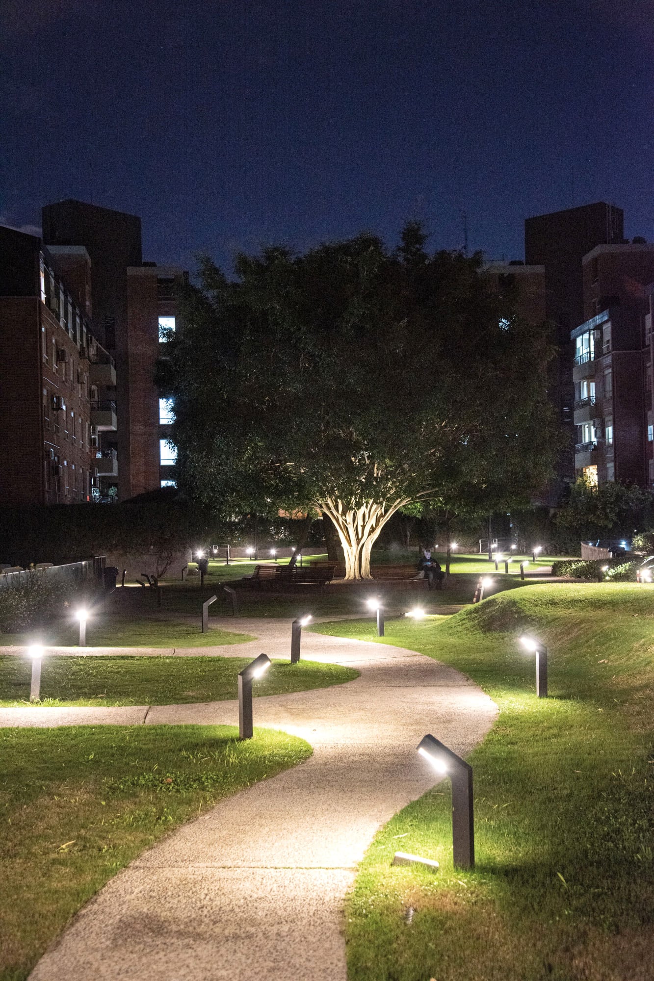 Las luces led, al ahorrar energía, se multiplicaron