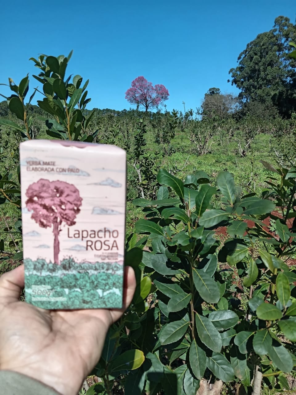 Quisieron tumbar un árbol para plantar yerba y terminó siendo la inspiración para su propia marca 8 El paquete imita los colores del yerbal