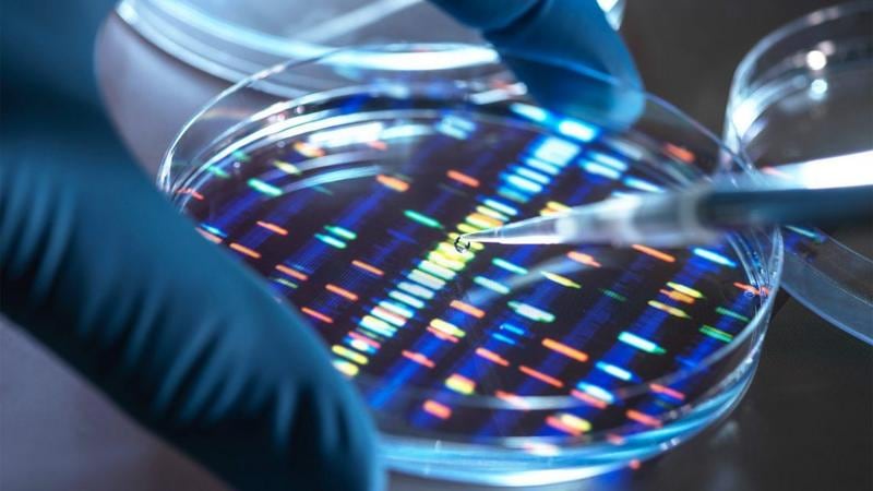 Células con varias cerraduras: el avance que podría hacer más precisos los tratamientos, incluso los del cáncer