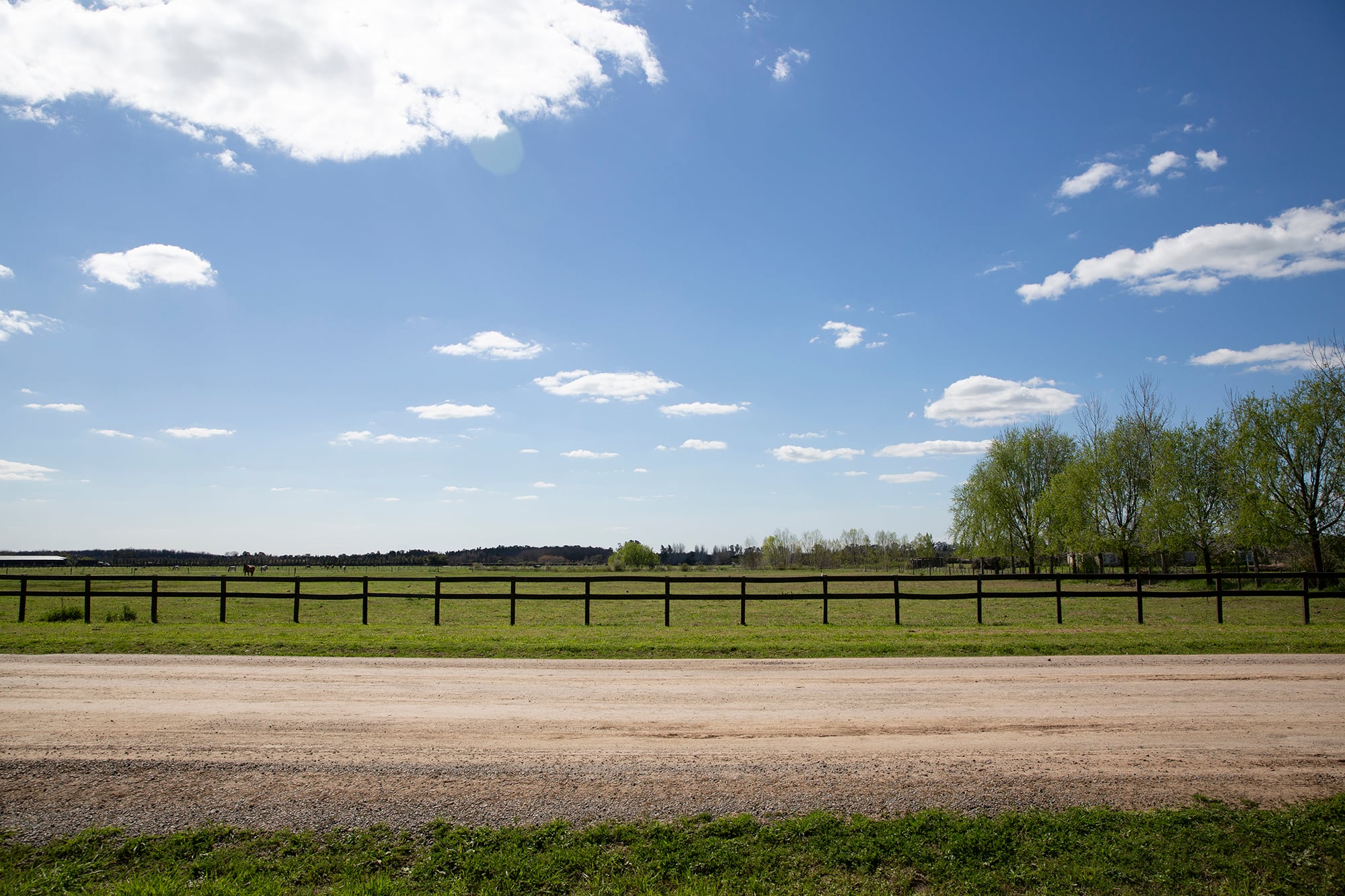 El proyecto abarca 300 hectáreas, con 900 lotes de entre 1200 y 3000 m²