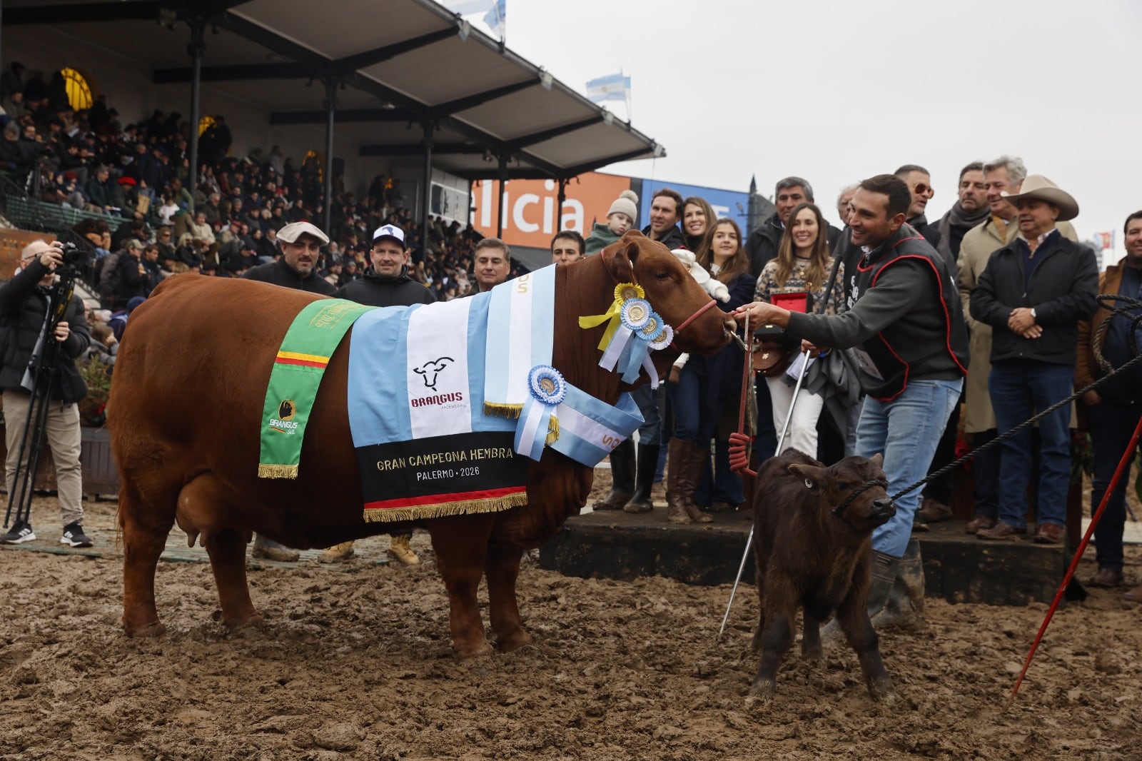 “Extraordinaria”: una vaquillona que se había vendido al 50% en $136 millones se consagró Gran Campeón Hembra Brangus de Palermo