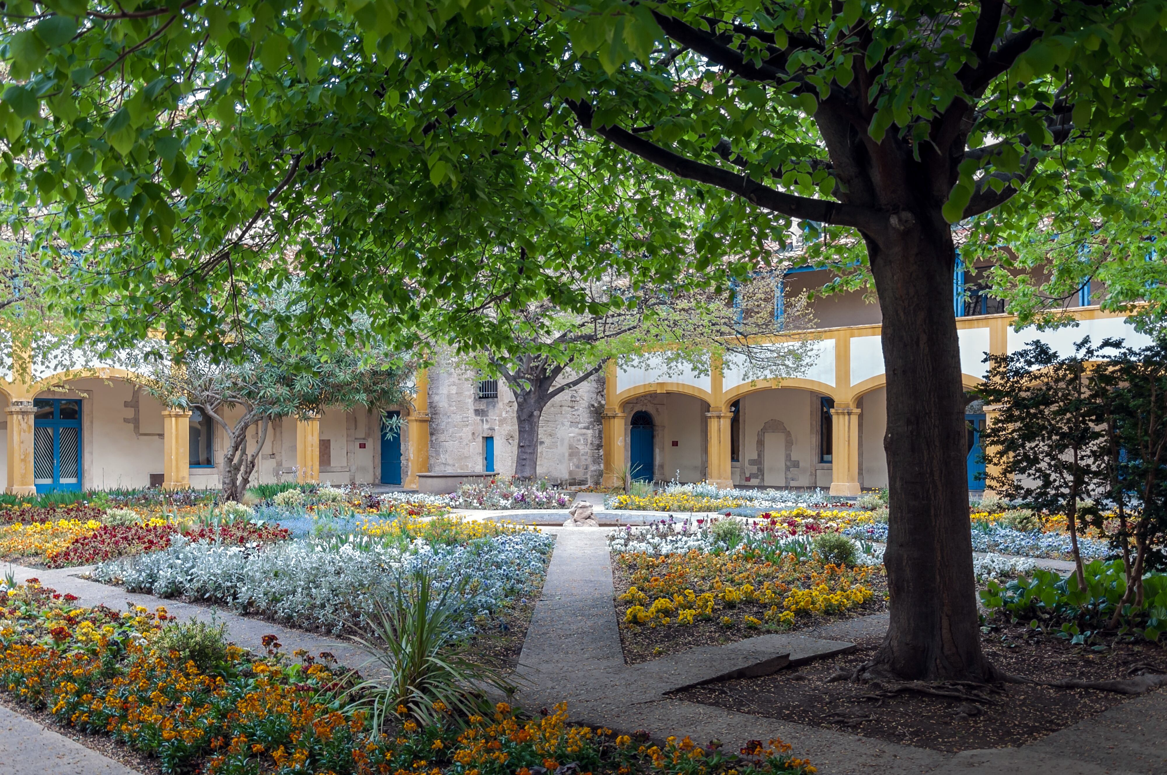 Las plantas en oficinas o en casas particulares donde se trabaja contribuyen a disminuir el estrés