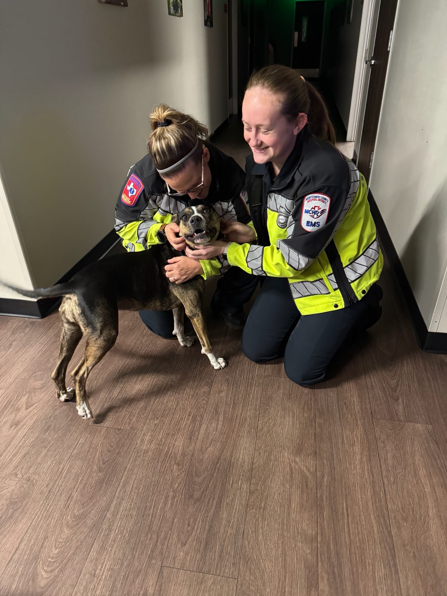 La presencia de Cookie Marie trajo una notable sensación de calidez y compañía a la estación.