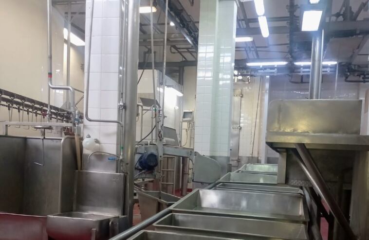 Para este 2024, va tener cuota Hilton (ya solicitó 1000 toneladas para el año en curso), la habilitación para faena Kosher hacia Israel y para el rito Halal para los árabes. Esto incluye la construcción de saladeros de acero inoxidable y la implementación de un cajón giratorio para mejorar todos los procesos