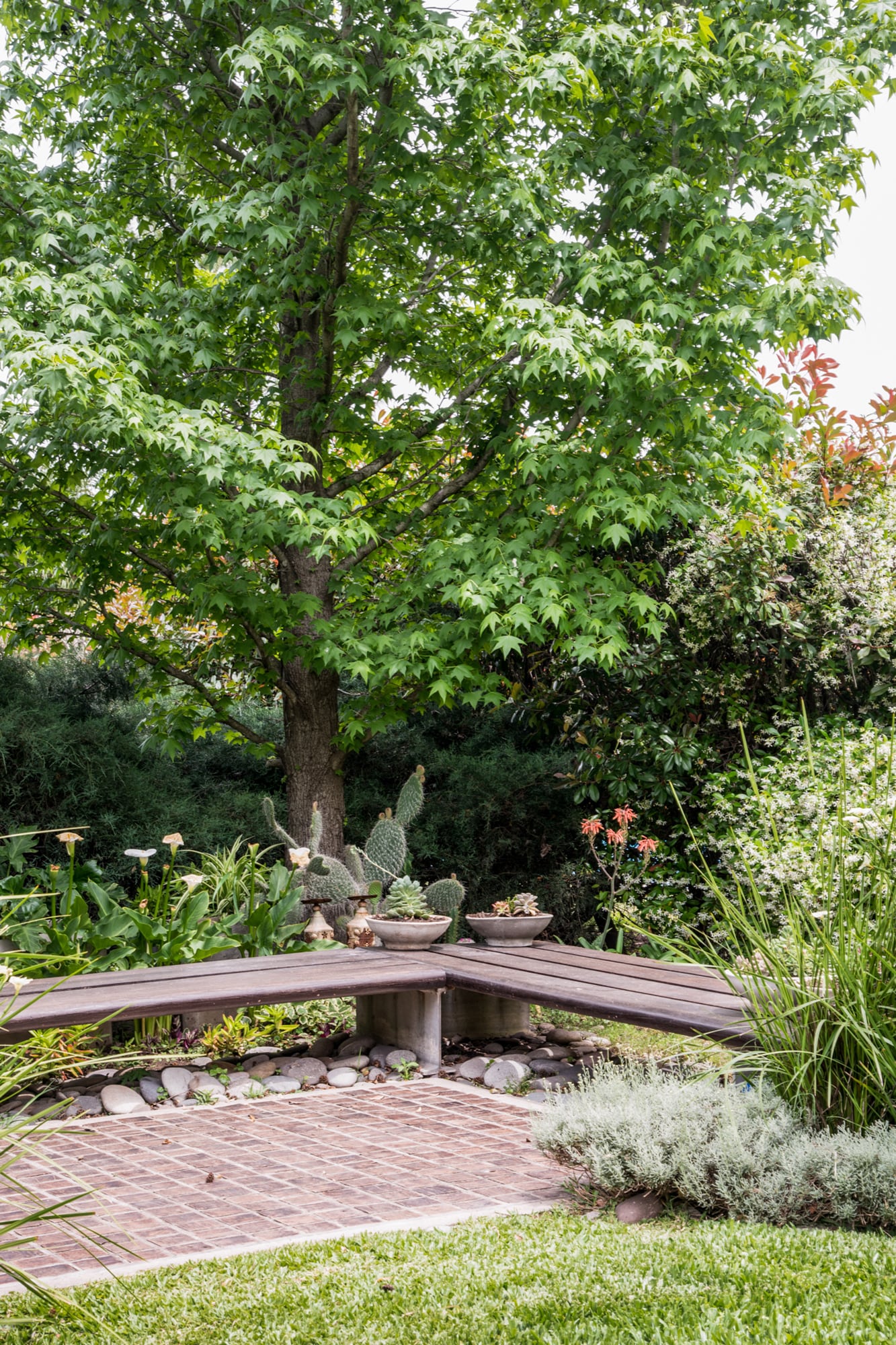 Un banco largo puede cumplir doble función: asiento y soporte para macetas
