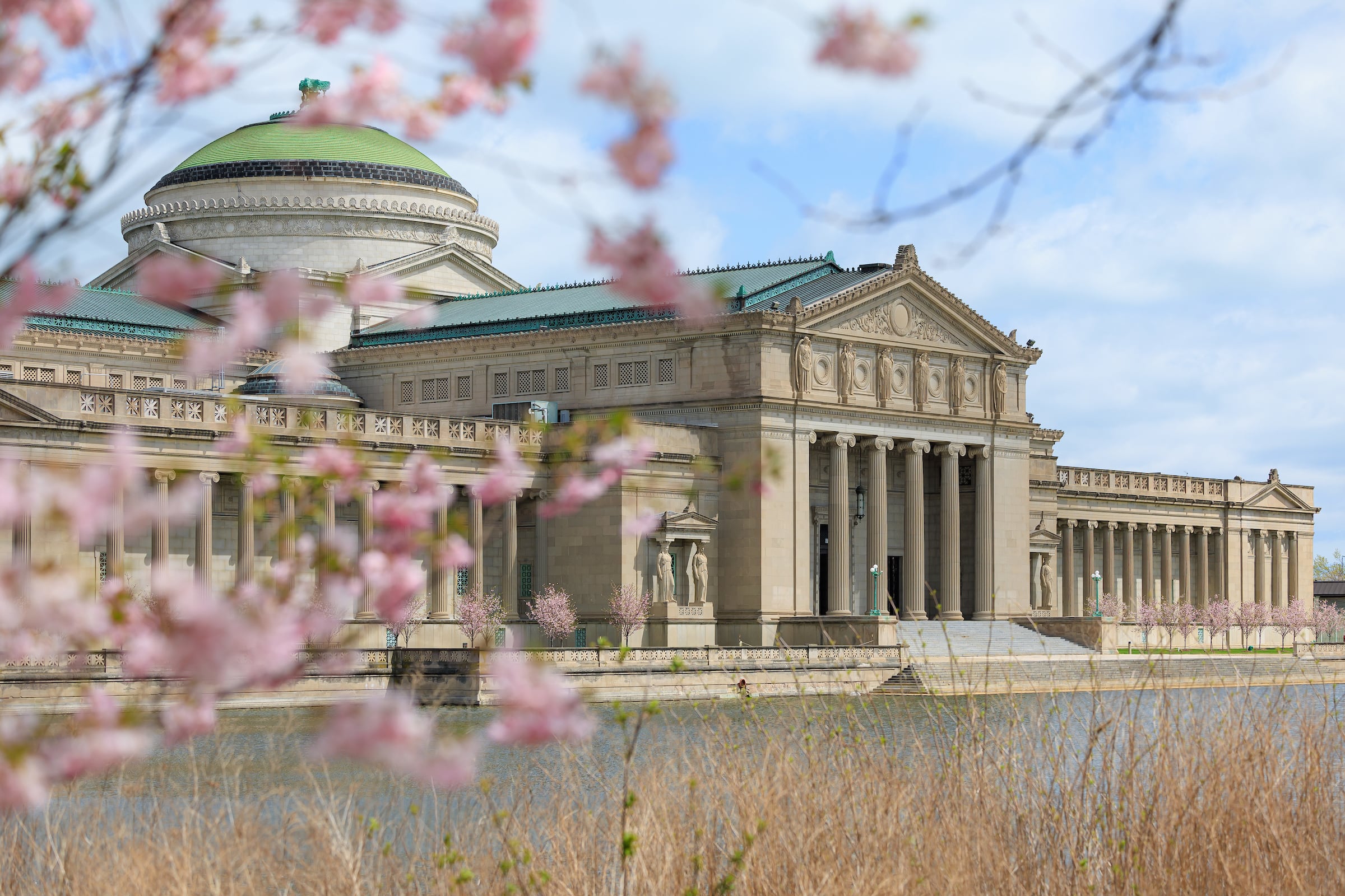 Este momento es considerado una antesala del pico máximo, que suele darse entre fines de abril y comienzos de mayo