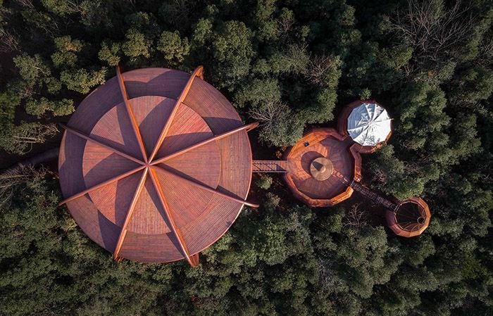 Tiene vistas de 360 grados del pinar y las montañas