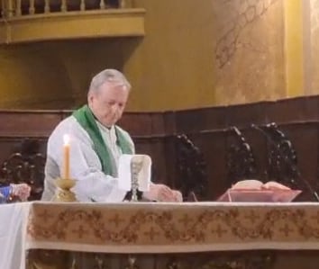Escándalo en Córdoba: el cura apartado por denuncias de abuso sexual en un jardín reapareció dando misa en la Catedral