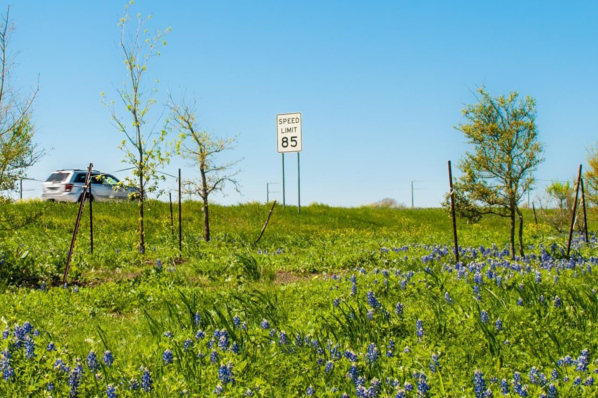 La barrera de los 137 km/h que se aplica en Texas para los conductores: ¿qué dice la ley sobre los límites de velocidad?
