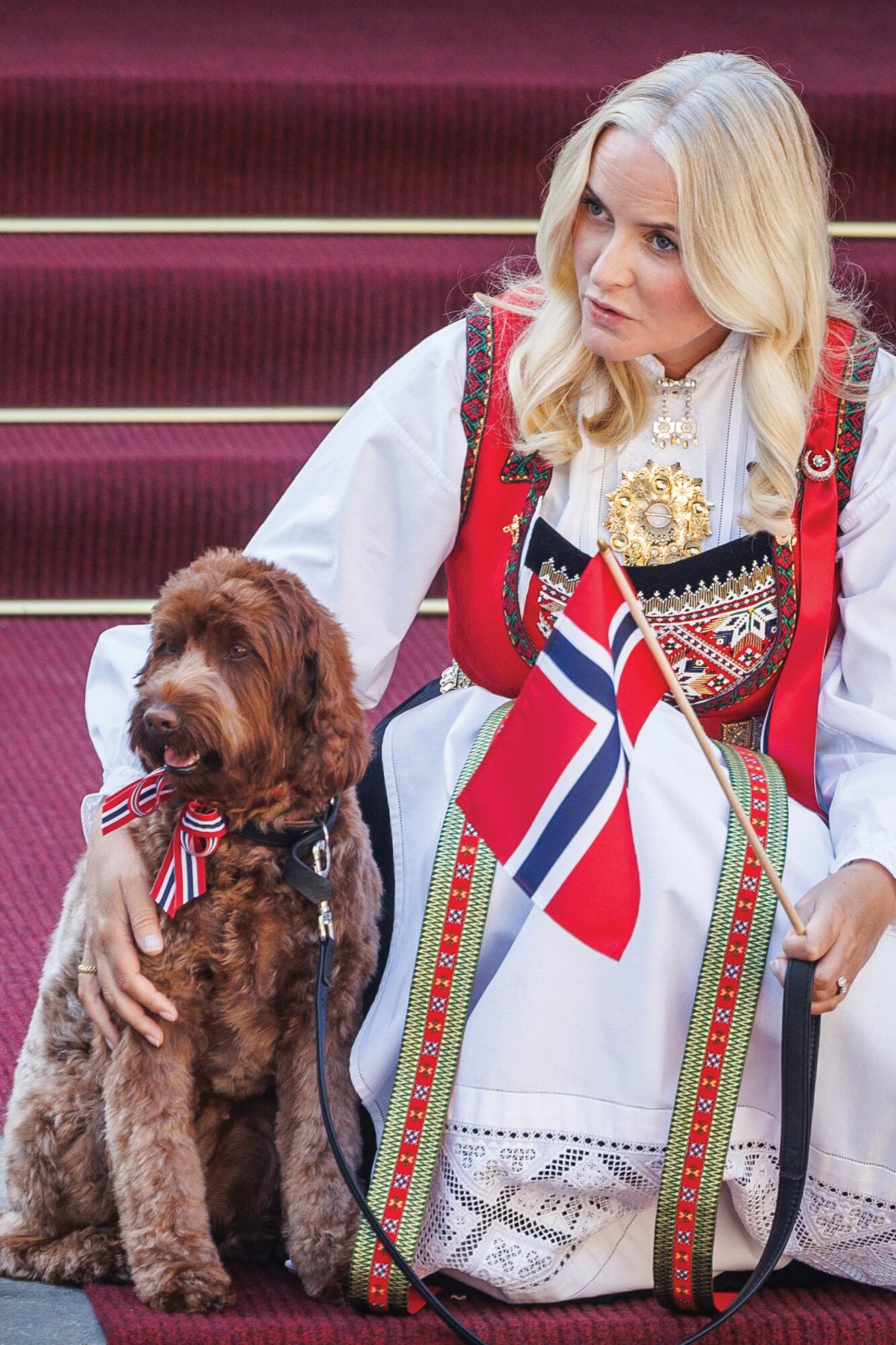 MOLLY FISKEBOLLE. La Navidad de 2021, los príncipes herederos de Noruega, Haakon y Mette-Marit, dieron la bienvenida a una labradoodle a la que llamaron Molly Fiskebolle (el segundo nombre significa ‘bola de pescado’). La perra llegó cinco meses después de que muriera Muffin, la mascota que los acompañó por años. Gran compañera, alguna vez se sumó a actividades oficiales al aire libre.