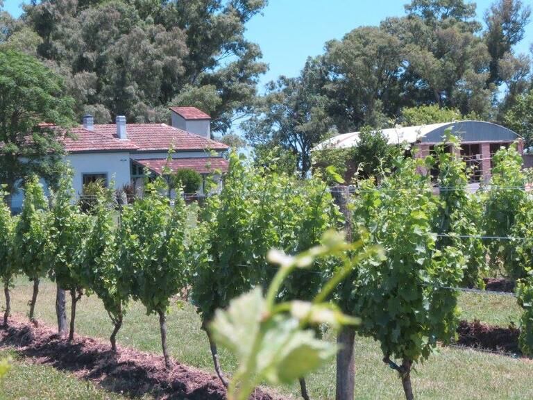 Finca Don Atilio, una verdadera experiencia rural en Uribelarrea