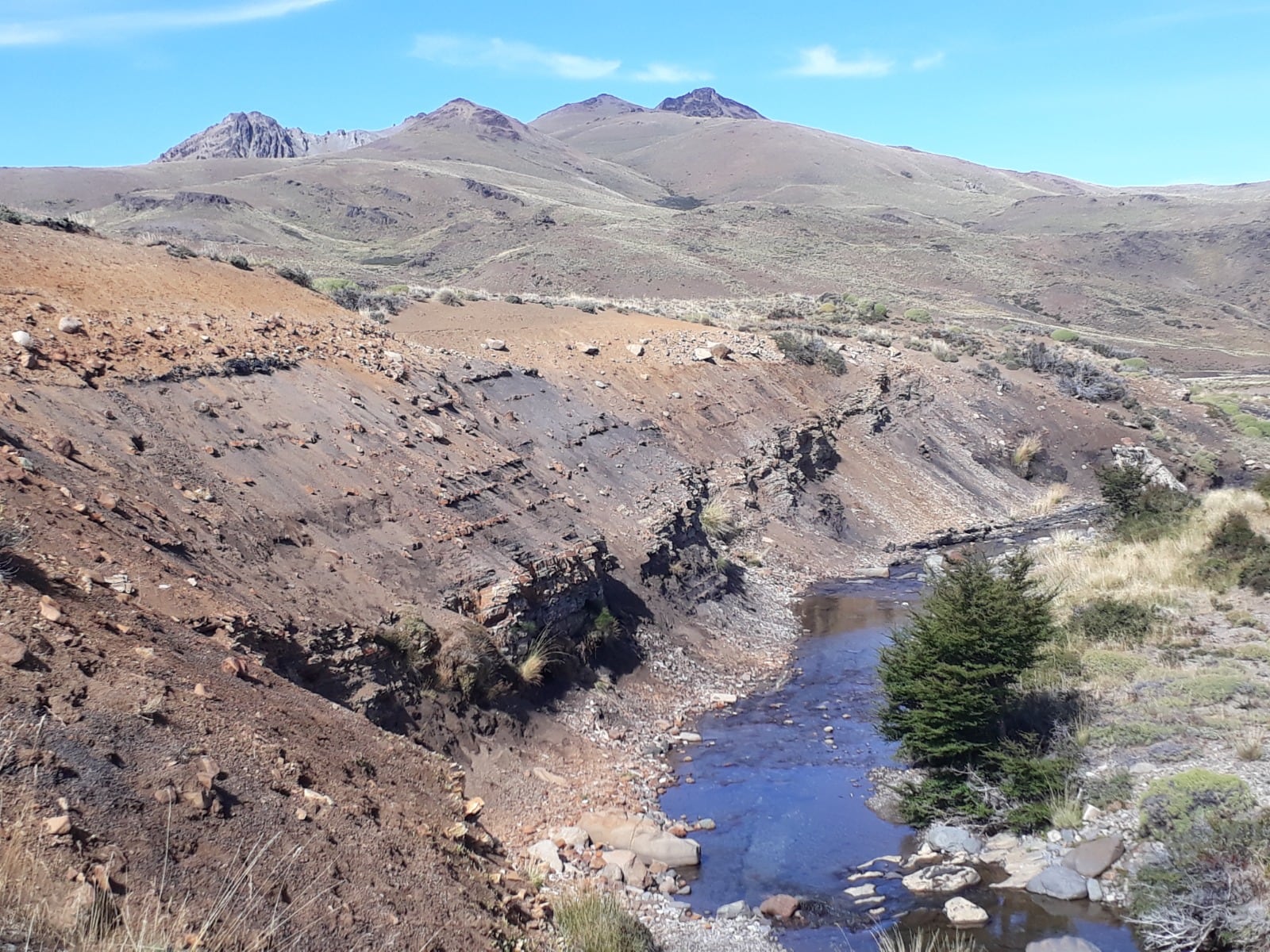 El ambiente de estepa del yacimiento fosilífero Pico Quemado, a unos 60 kilómetros al sudeste de Bariloche, incluye bardas a orillas del Arroyo Montoso