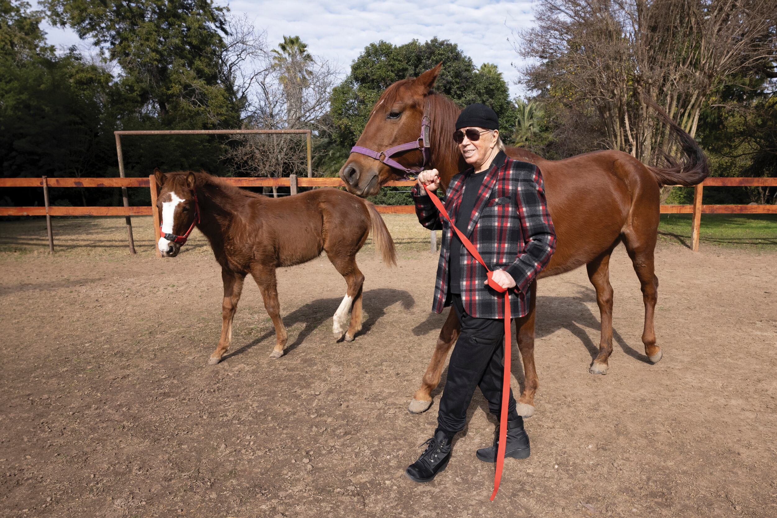 Los caballos son otra de sus grandes pasiones. En la imagen, Miguelito paseando a Queen y Storm, dos ejemplares Cuarto de Milla que su hija Paola cría en la chacra.
