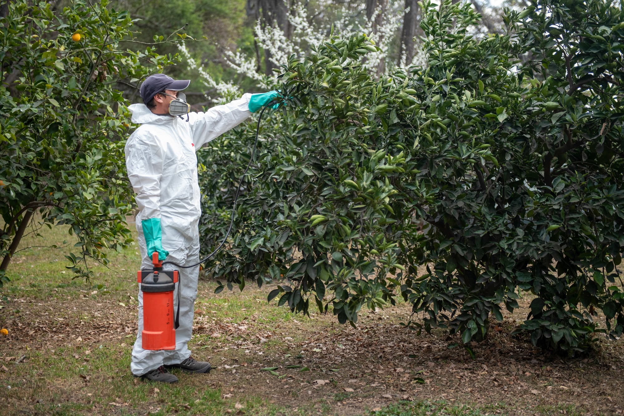 Para realizar labores de fumigación en Florida, se requiere de una licencia especial