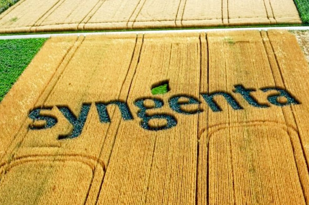 Grupo Syngenta: cayeron un 5% las ventas globales y la empresa advirtió sobre dificultades del agro en América Latina