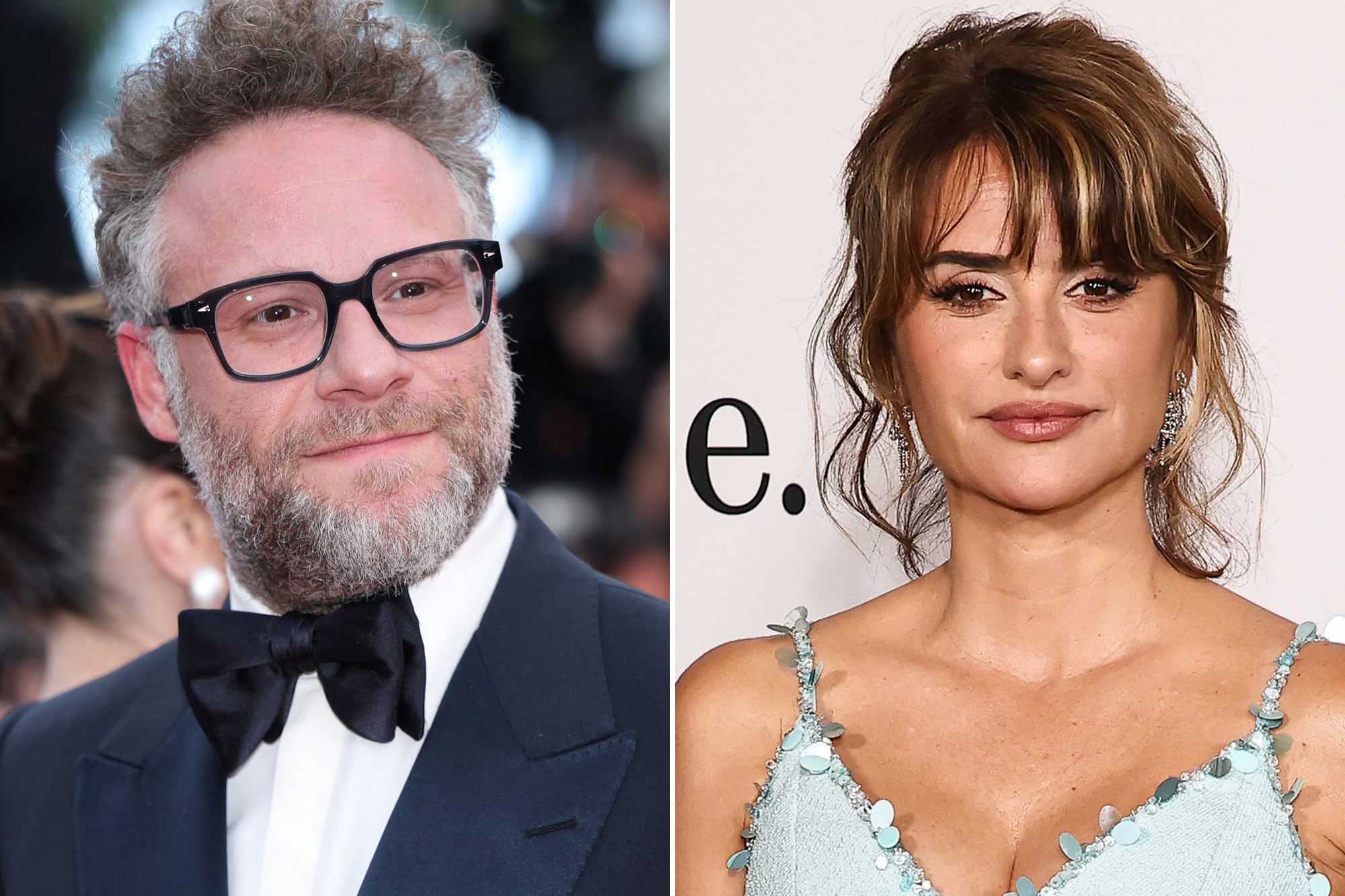 Seth Rogen contó por qué no dejaba de disculparse y agradecerle a Penélope Cruz durante una escena íntima