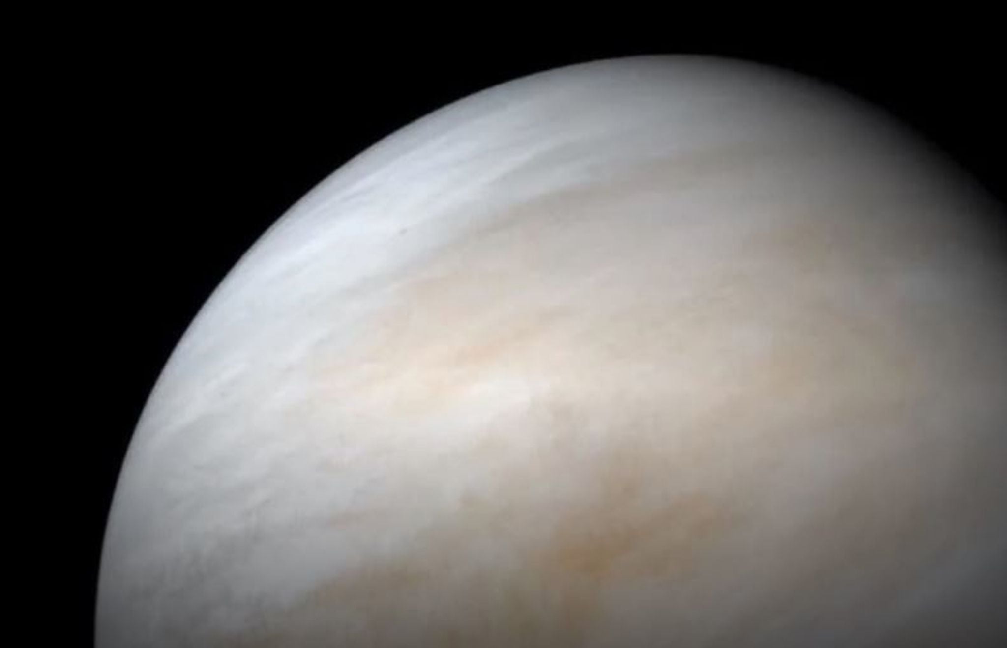 Este año, Venus estará retrógrado en Aries y Piscis