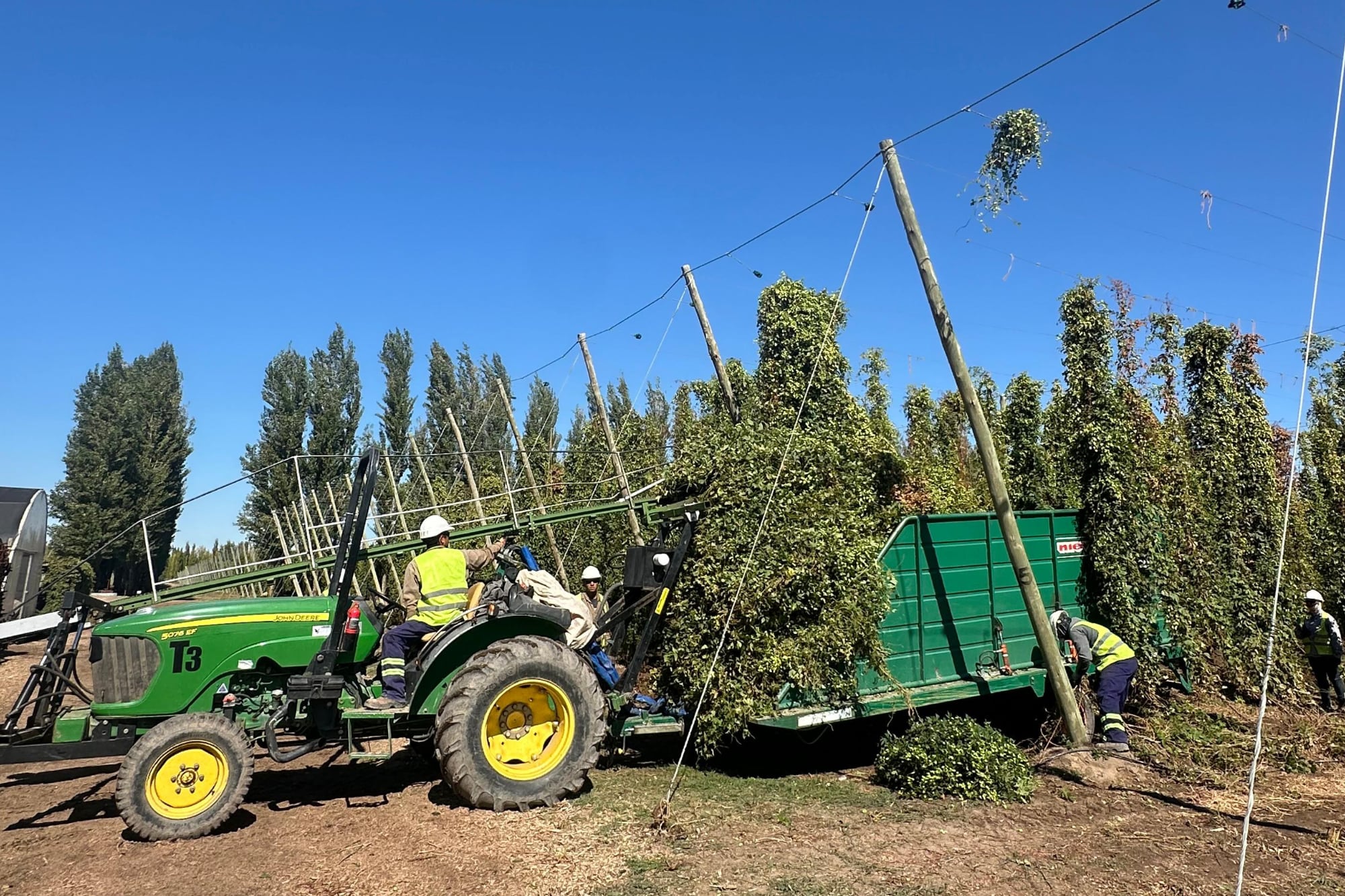 La cosecha mecanizada
