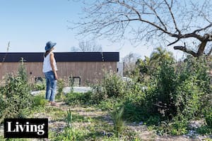 Visitamos a cuatro dueños de casa que lograron construir su propio techo verde