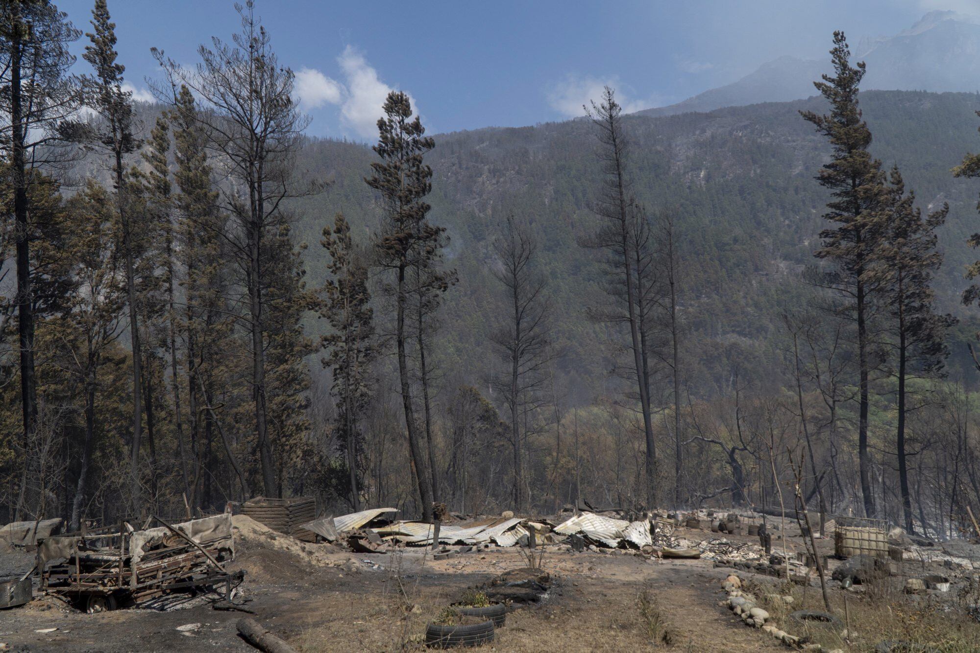 Se estima que más de 12.000 hectáreas fueron arrasadas por el fuego