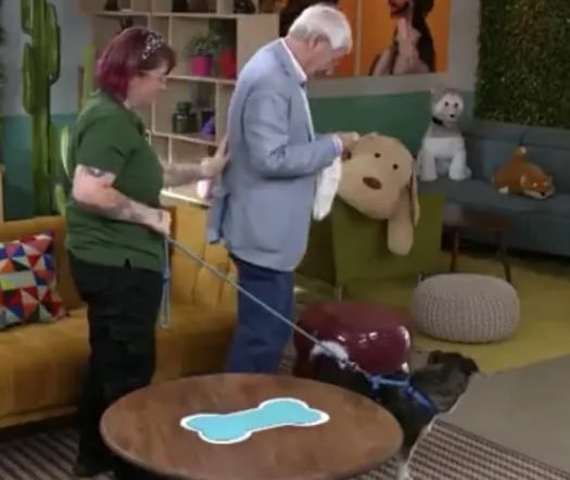 El dolor de César por no poder cuidar a su perro