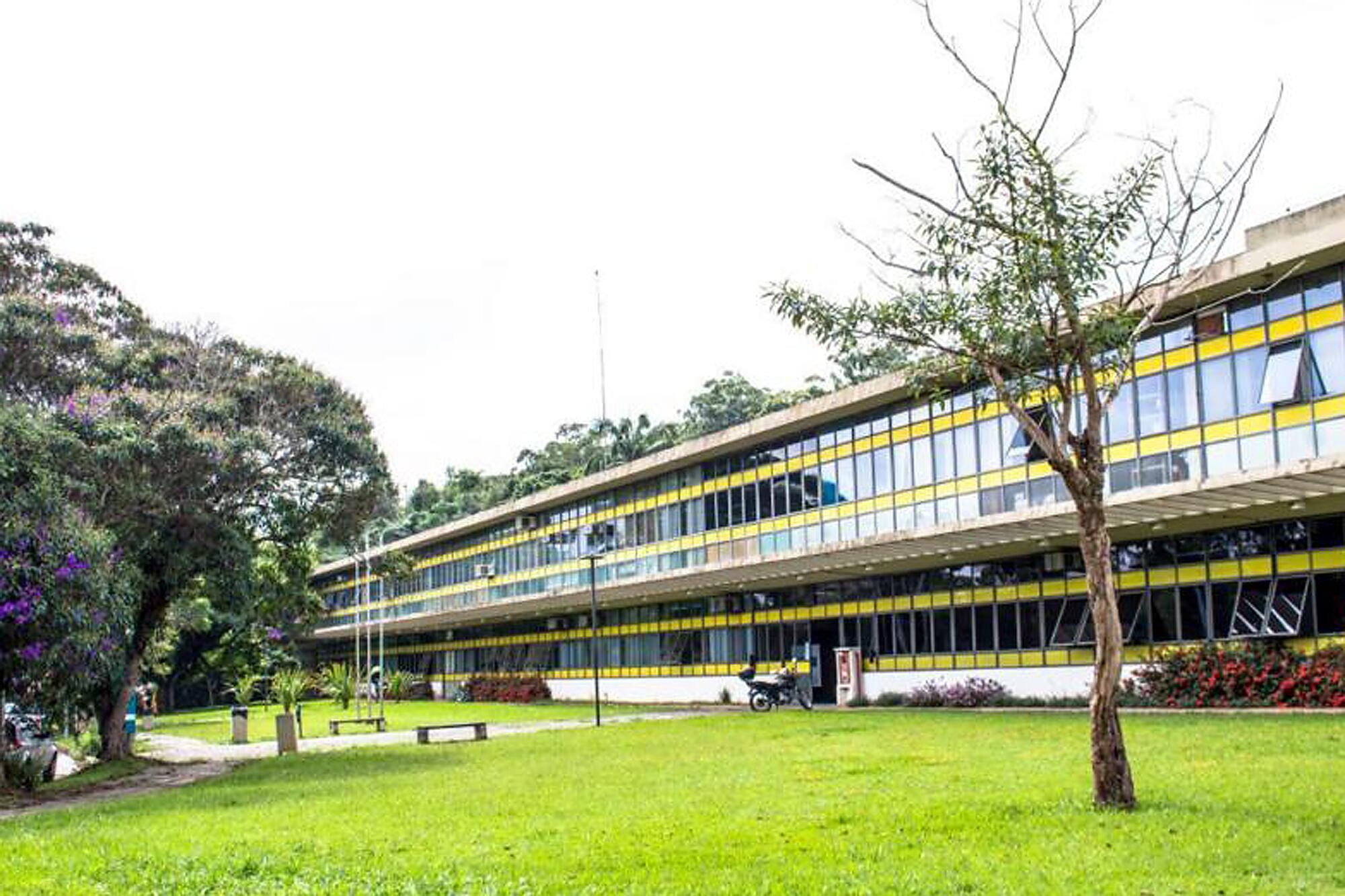 La Universidad de San Pablo, la número 1