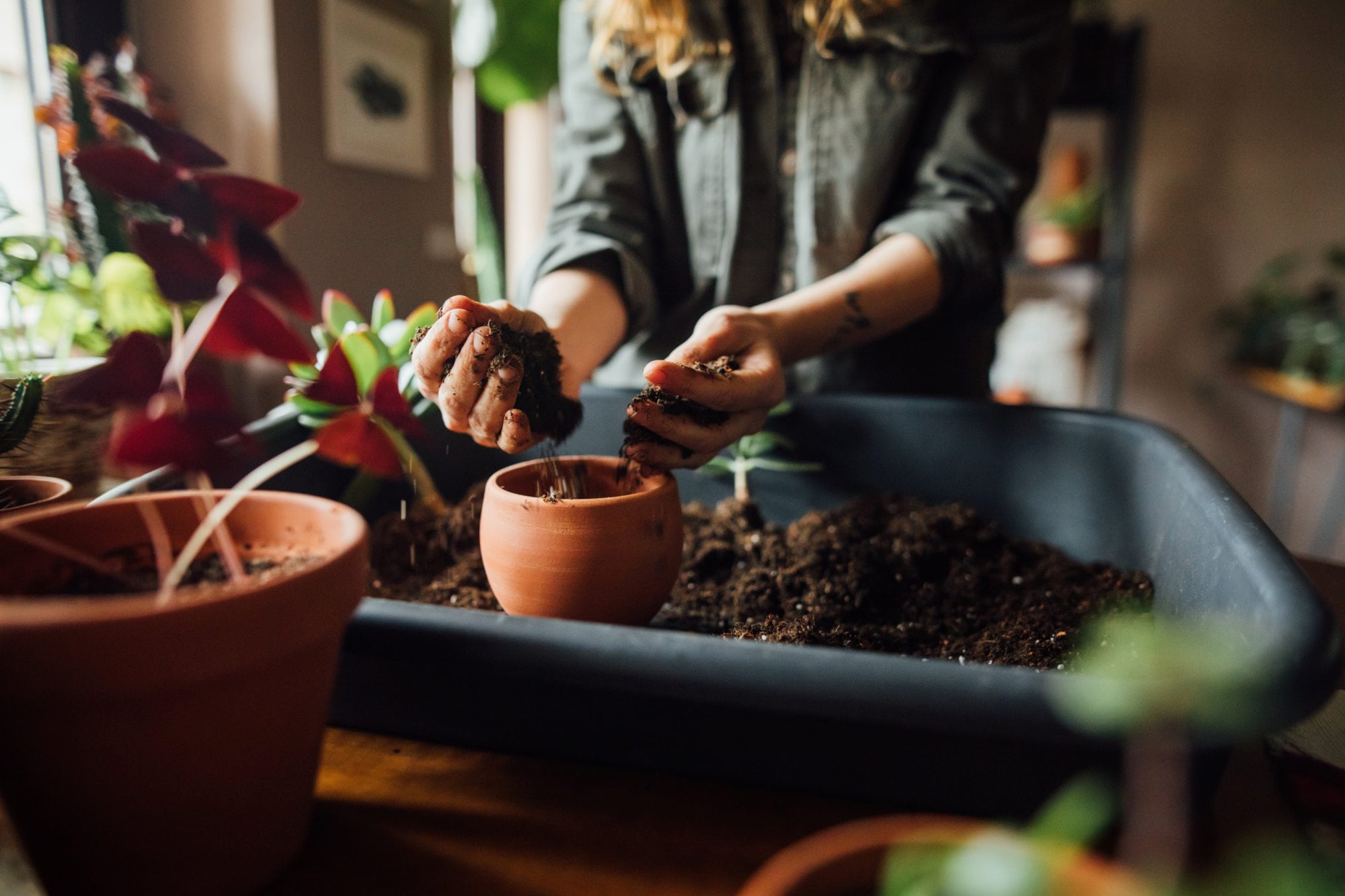 El poder terapéutico de los hobbies 6 Las actividades manuales activan un perfil cognitivo opuesto al del consumo digital pasivo generado por los dispositivos electrónicos