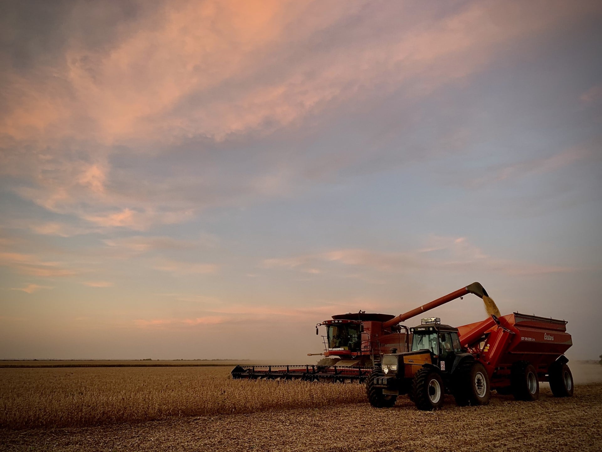Según un informe: el Estado se queda con el 82,6% de la renta de la soja en un campo alquilado mientras el productor pierde plata
