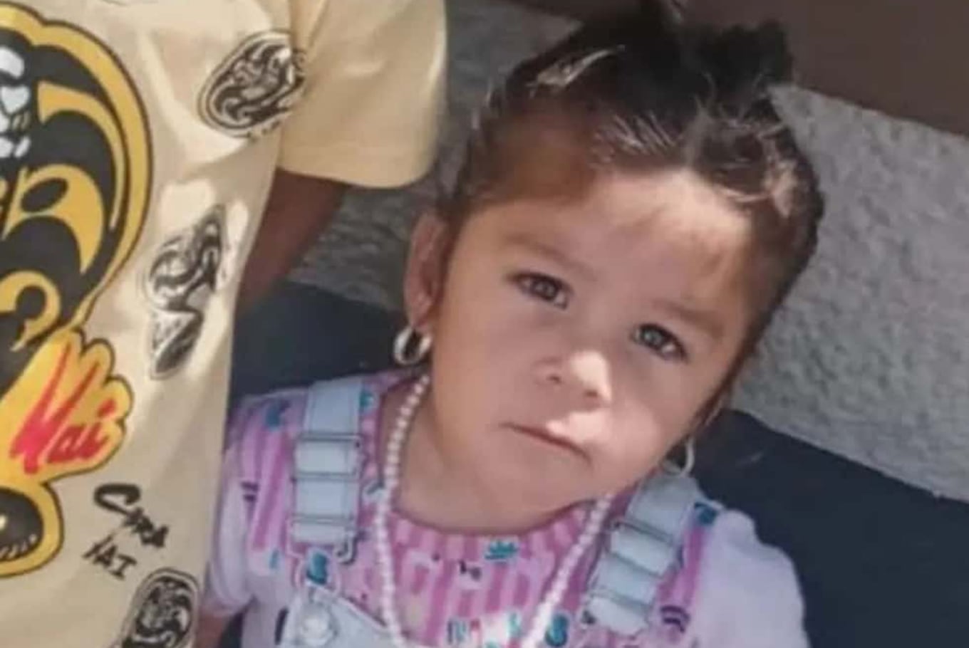 Qué pasó con Esmeralda, la niña de dos años que fue hallada en Córdoba tras un amplio operativo de búsqueda