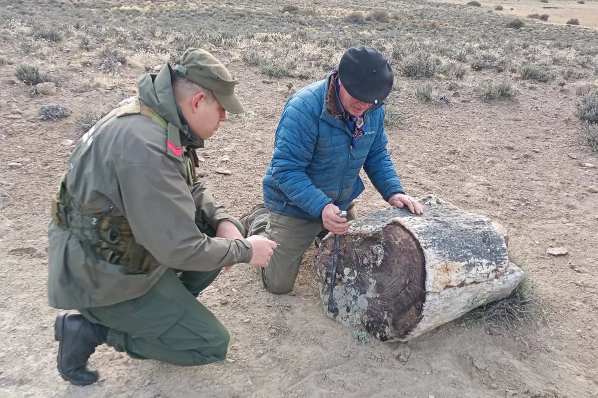 El otro lado de la Patagonia: hallan tres bosques petrificados de 50 millones de años