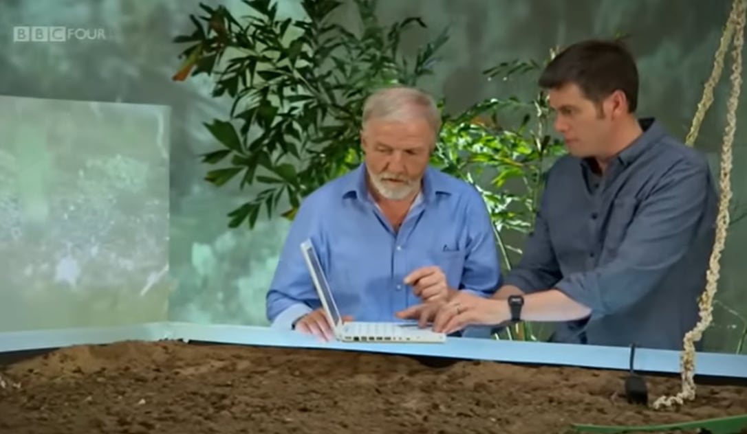 Los científicos encontraron datos relevantes para el estudio de la especie (Foto: BBC)