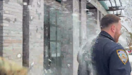 Incidentes con bolas de nieve contra policías en Nueva York. Fuente: X