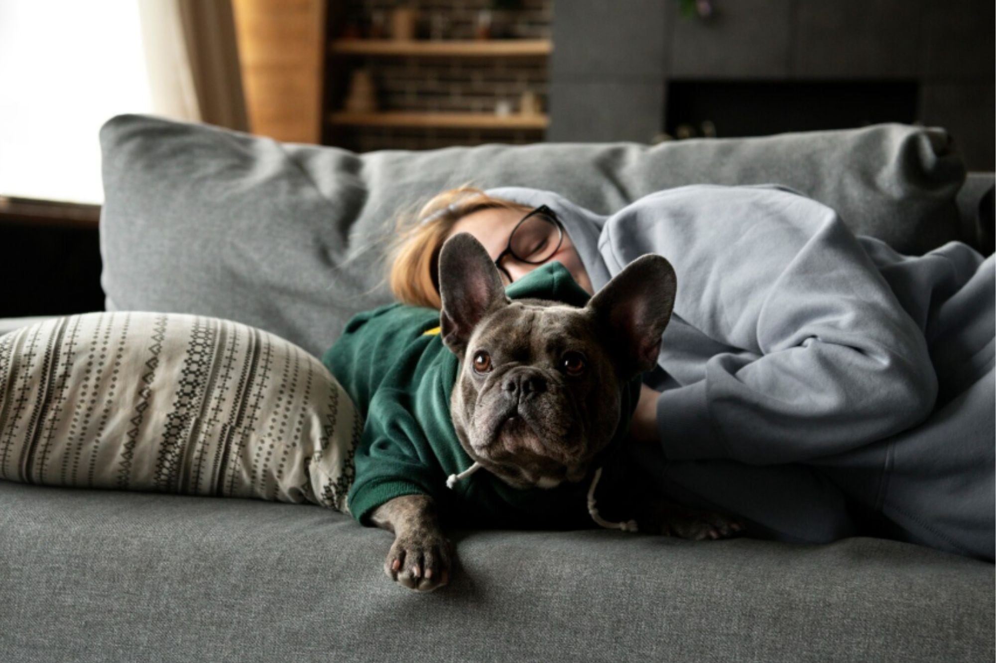 Qué hacer para cuidar a las mascotas durante los días de bajas temperaturas