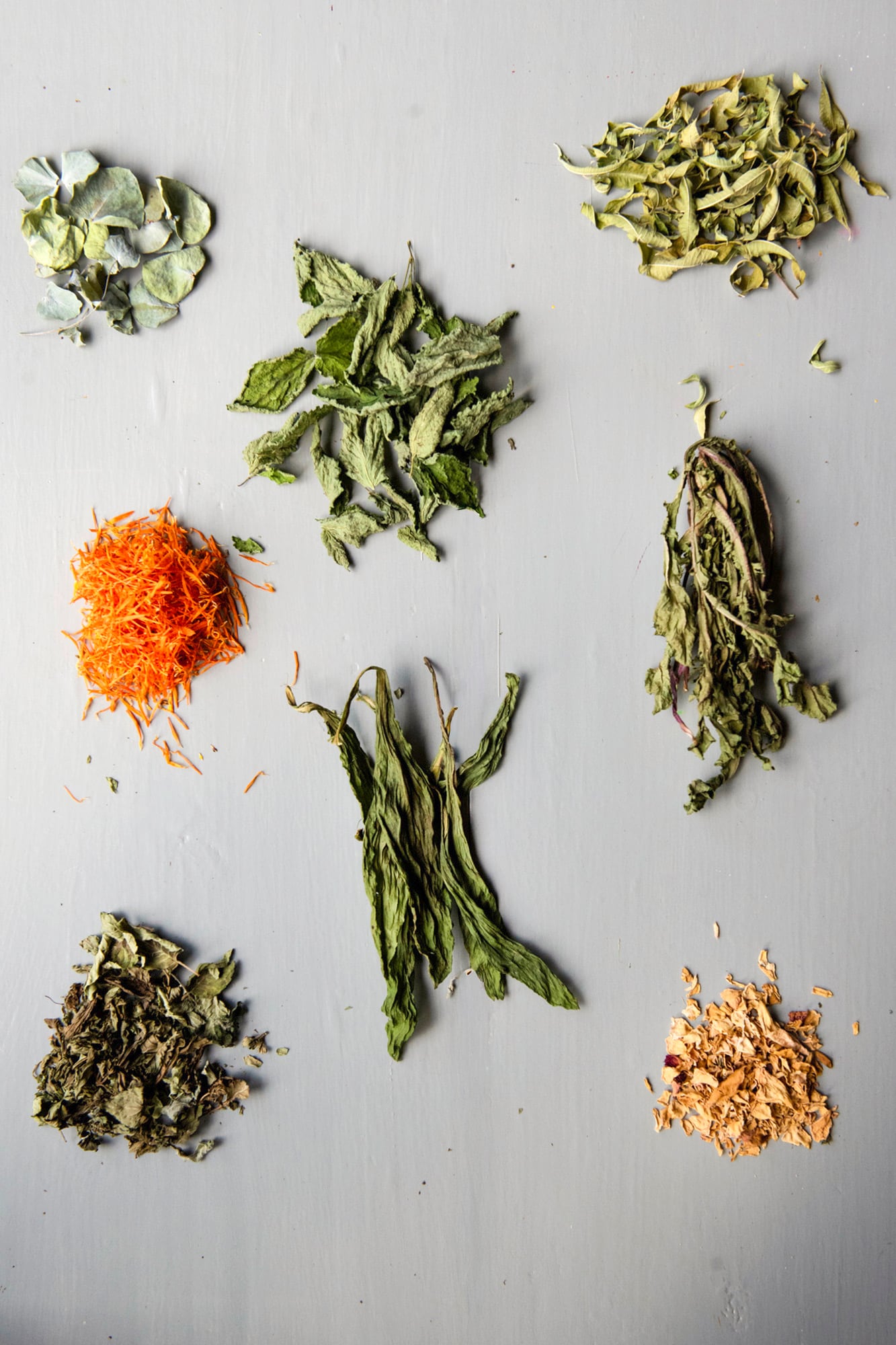 Melisa, pétalos de rosa, llantén, caléndula, menta y diente de león