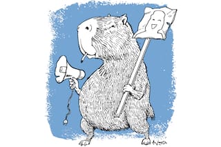 Campaña pequeña, dramas enormes