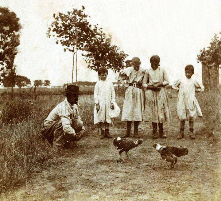 Una riña de gallos a fines del siglo XIX, donde se ve que niños y mujeres son parte del público