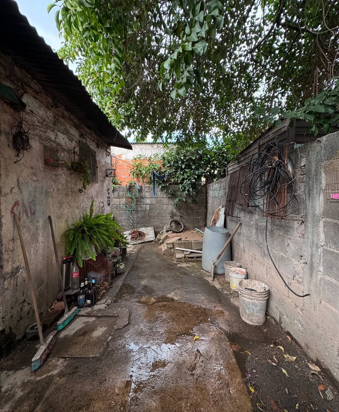 A los 14 años, con la aprobación de su padre, dejó su pueblo en busca de un futuro mejor en Buenos Aires