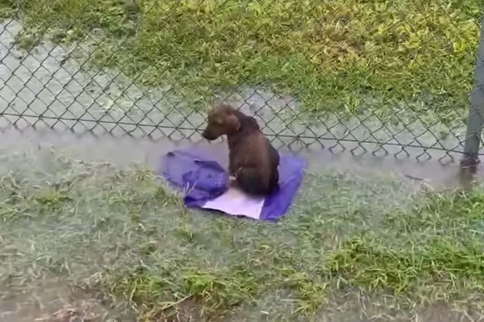Lo abandonaron en una cancha, lo encontraron cuando había aceptado morir y le dieron una segunda oportunidad