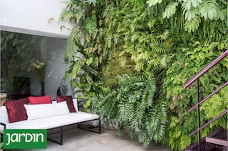 Cómo crear una miniselva urbana cuando no hay espacio disponible