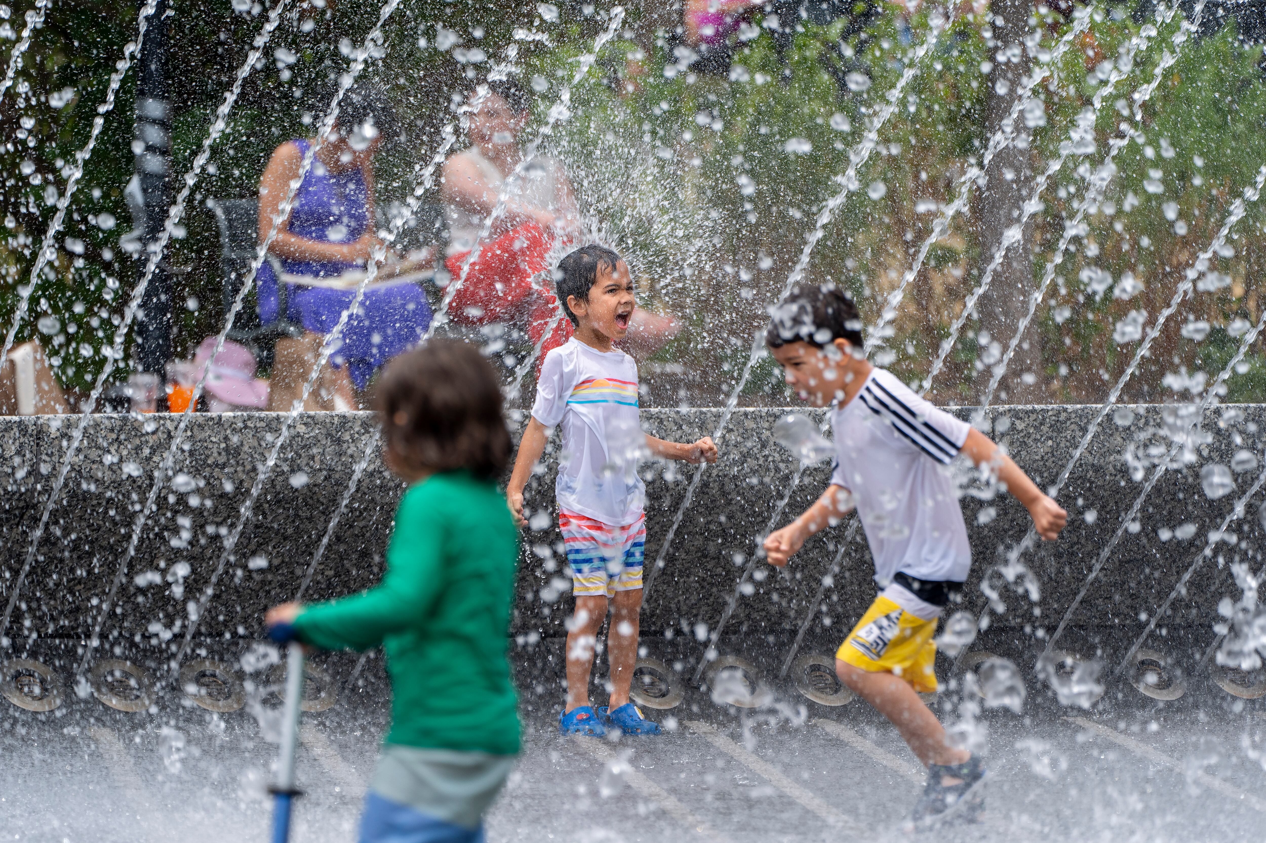 El parque era conocido por un delfín con chorros de agua