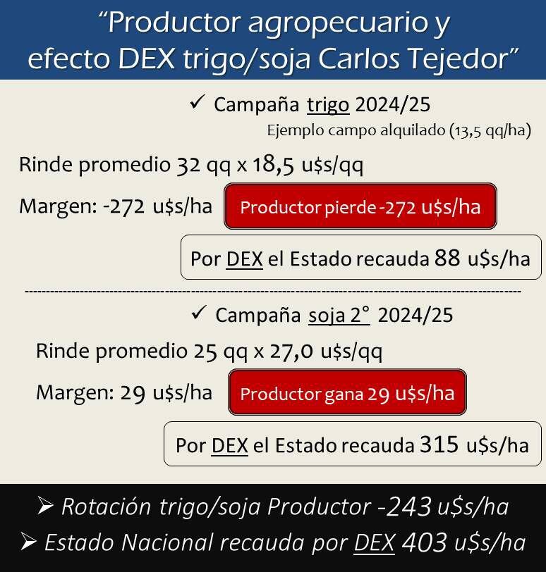 Análisis de Garciandía sobre cuánto se lleva el Estado en una rotación trigo-soja.