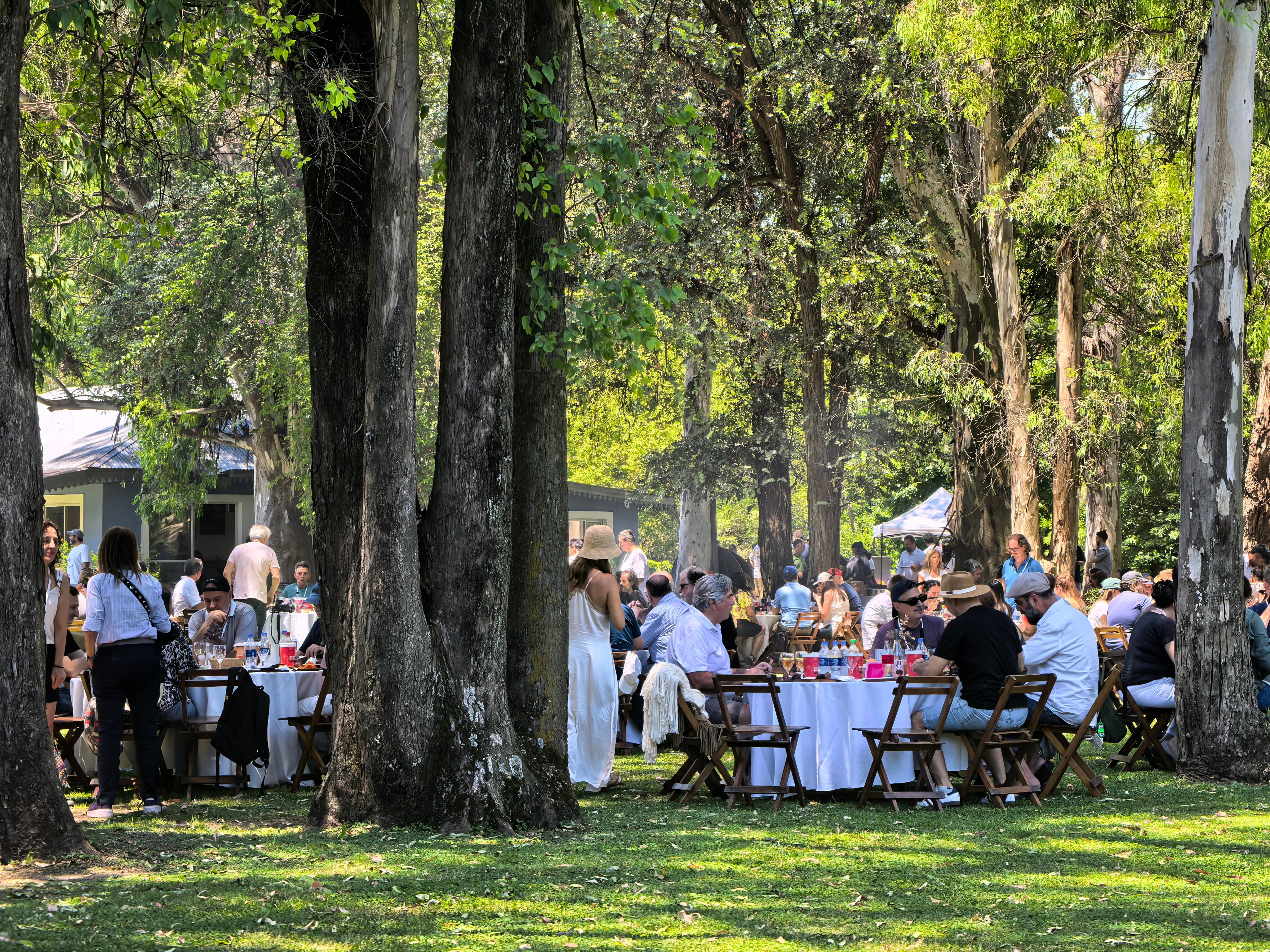 Un par de fotos tomadas con un Huawei Pura 80 Ultra