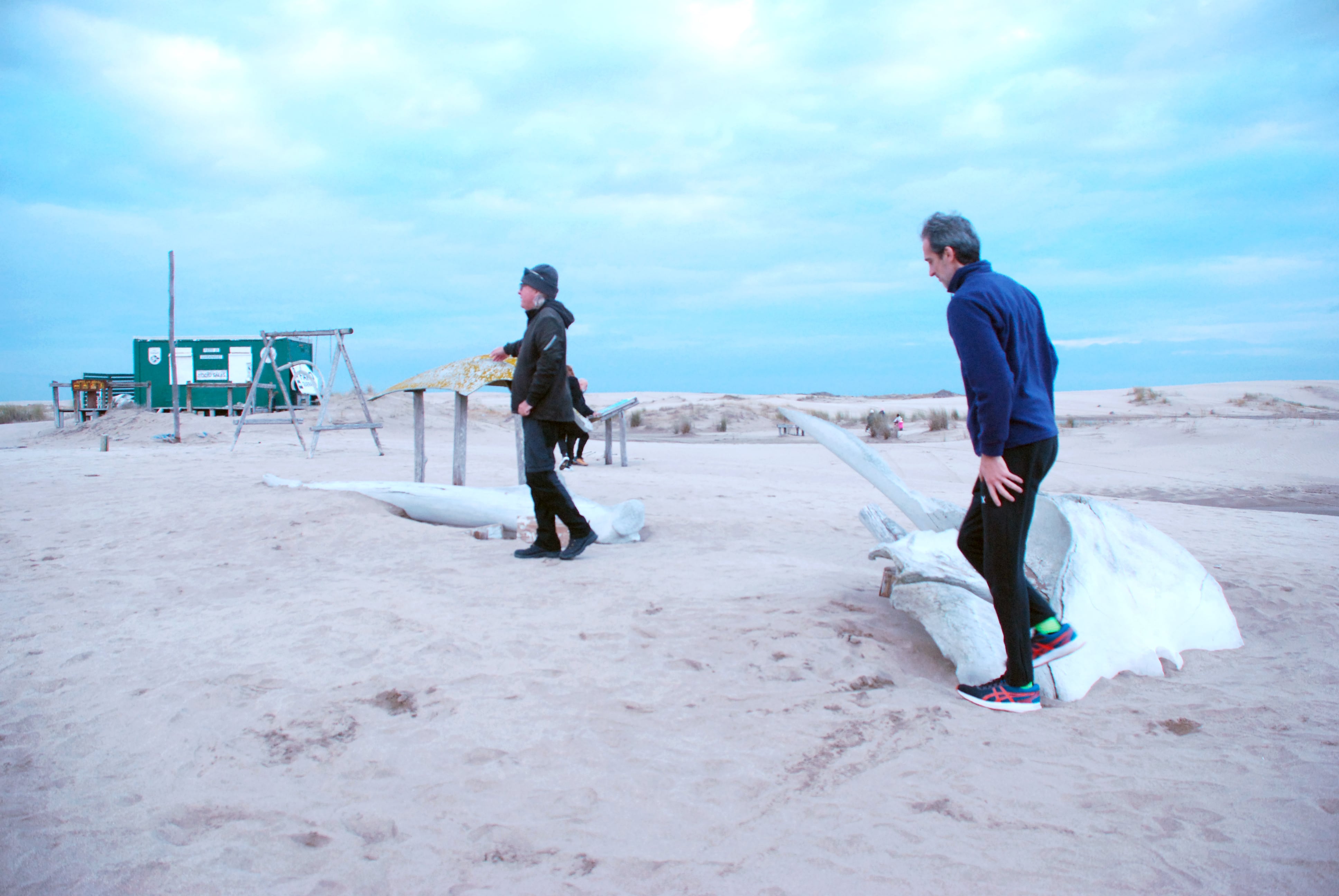 Restos óseos de ballenas, tiburones, lobos marinos y tortugas en los alrededores de la reserva