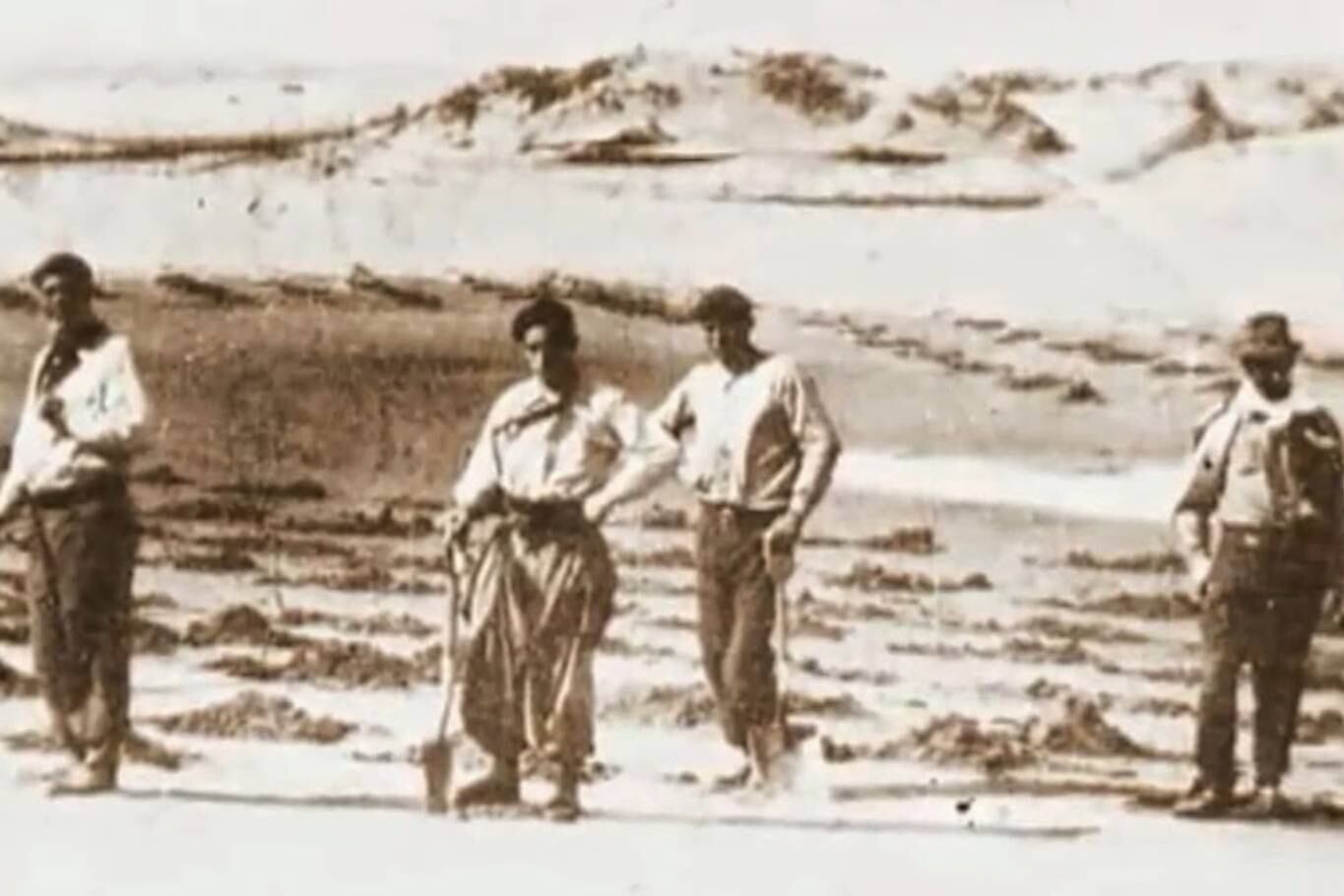 Carlos Gesell y un grupo de trabajadores plantan las distintas especies que deberán impedir el desplazamiento de arena